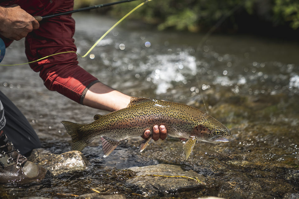 mamuil malal malleo fishing 62