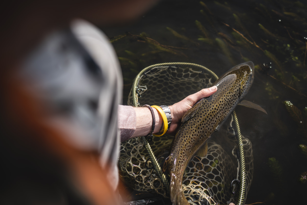prg rio pico fly fishing